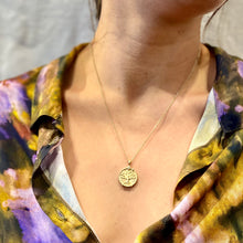 Charger l'image dans la galerie, Collier HOPE 50cm Médaille Vitae