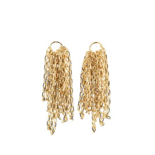 Load image into Gallery viewer, Boucle d&#39;Oreille LISE 001
